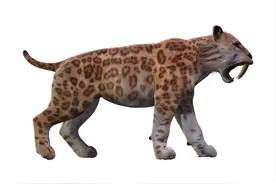 乖巧可爱的萌宠，在进化史上为何诸多磨难？猫的进化史告诉你真相图片