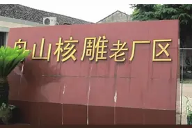 轰轰烈烈的舟山核雕的复兴史图片