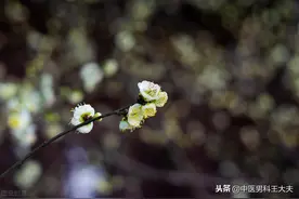 为什么身体越虚，戒色越难？图片