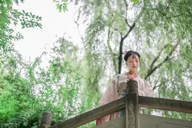 旧版《鹿鼎记》第一百三十五回 为民请命图片
