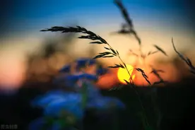 越难熬的日子，越要撑下去，看看他们的人生你就明白了图片