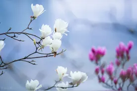 为什么女人没有危机感，才是婚姻最大的危机图片