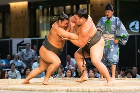 揭秘日本国粹相扑，体形巨大呈梨状，日本美女以嫁相扑选手为荣图片