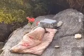 山里的早晨，空气清新自然，真舒适，起床了图片