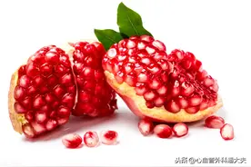 美国一项研究 石榴可以减低老年痴呆的发生图片