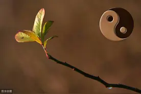 道德经：夫妻之道，就是阴阳之道，各行其道，就是顺天之道图片