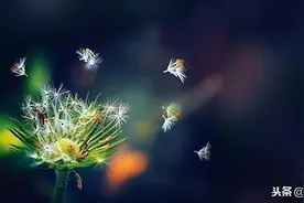 人走茶凉，物是人非，别在意图片