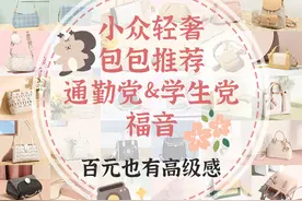 小众轻奢包包推荐｜学生党通勤党必备图片