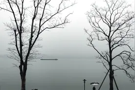 冬季钓鱼阴天、雪天、雨天虽然都好钓，但是时机选不好也白搭图片