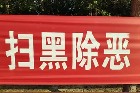 贵阳中院发布两起涉黑恶典型案例 14名被告被依法判刑图片