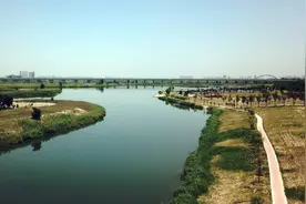 渭河河堤路，横跨关中地区的一条景观大道、一条绿色丝带，太美了图片