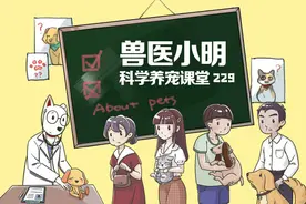 历史上曾上过天的动物，你知道有哪些吗？它们也是无名英雄图片