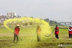 江西庐山市：鄱阳湖区灭钉螺图片