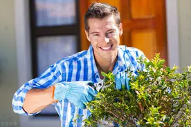 园林景观植物的修整应遵循什么原则？图片