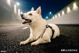 盘点不同补钙产品 区别有多大？图片