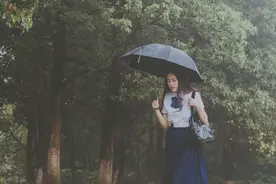 忆上海的雨图片