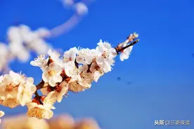 日落西山你不陪，东山再起你是谁图片
