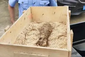 扬州一男子张网捕鱼，竟从河中捞出一枚炮弹图片
