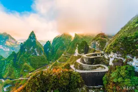 清晨我站在青青的牧场，看到神鹰披着那霞光，广场舞《天路》图片