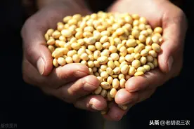 农村俗语：“路上不捡豆，集上不捡肉”，是啥意思？图片