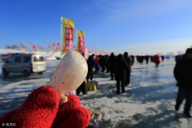 便宜的花胶有用吗 2026年便宜的花胶有用吗安全吗