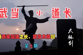 进阶功法“去疲劳，养心神”武当太极剑第七期图片