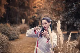 旧版《鹿鼎记》第五十一回 十八对一图片