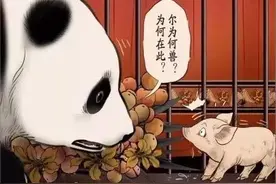 漫画故事：想做熊猫的猪图片