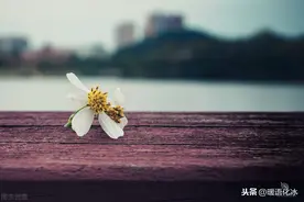 二姐的悲剧人生图片