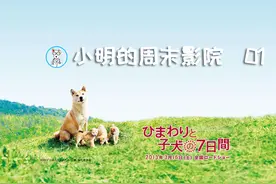 小明的宠物影片推荐——《向日葵与幼犬的7天》图片