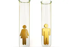 备孕期间如何提高卵子质量？图片
