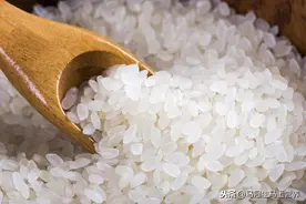 这位哥（镉）又来骚扰大米啦，怎么办？图片
