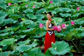 才子与采莲女之间的荷尔蒙之恋就是情短藕丝长。图片