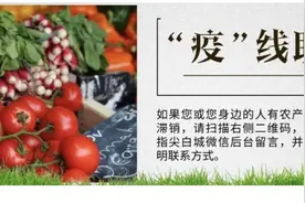 “疫”线助农│玉木耳、蜂蜜、有机米……镇赉县、洮南市最新滞销农产品信息图片