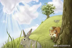 有声绘本故事 - 每个孩子都是天使《当狐狸和兔子互道晚安》图片
