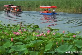 白洋淀坑你绝不商量，上错了船登错了岛，花2000不如400玩的好图片