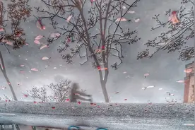 乔一琦：人生虽苟且，我却要诗和远方图片
