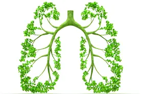 华西医院刘毅教授：肺纤维化治疗再获突破，患者告别缺医少药图片