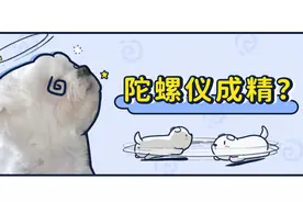 害怕！这只狗24小时转个不停，是不是有病？图片