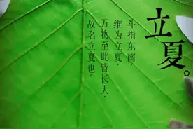立夏以后猪皮肤易出现红色病变，这些红斑、红点究竟是何方神圣？图片