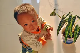 你不看我，怎知我在看你？图片