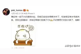 PDD因债务纠纷起诉熊猫，澄清此事和王校长没有关系！图片