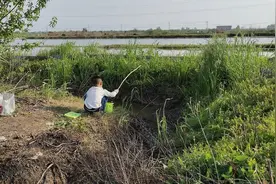 指导孩子寻找日记素材：改写古诗《小儿垂钓》图片