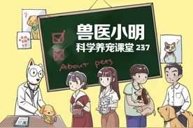 狗狗运动后喝水竟倒地不起，铲屎官喂水成了错？只是时机不对而已图片