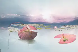 贯通《庄子》和禅宗：低头看路，才能迈出踏实的“第一步”图片