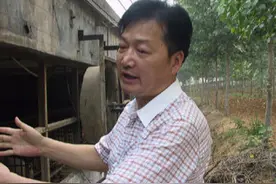 两度河南首富，市值千亿的‘养猪’大佬，【牧原集团秦英林】图片