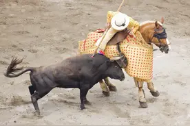 野牛｜谈西班牙斗牛，野性难驯的猛兽，关于生与死的舞蹈图片