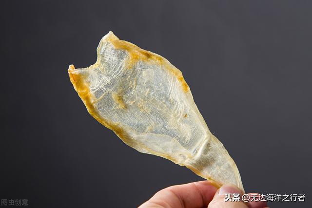鱼胶的用量 2026年鱼胶的用量吃法鱼胶的做法