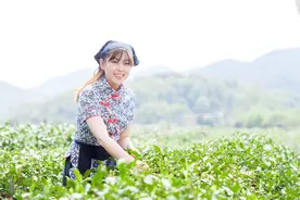 农村俗语“不怕红杏出墙，就怕野花进房”啥意思？老话有理图片