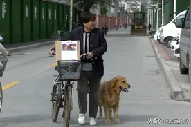 河南7旬老太哭寻爱犬，在街上狗妈妈全程跟随，不吃不喝坚持走图片